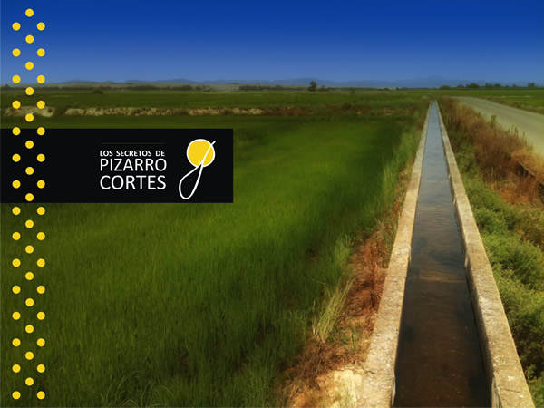 Pizarro Cortés www.maryanlozano.com