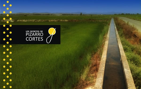 Los Secretos de Pizarro y Cortés