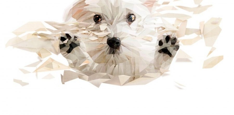 Deco Coach Tienda animales y Zona Termal