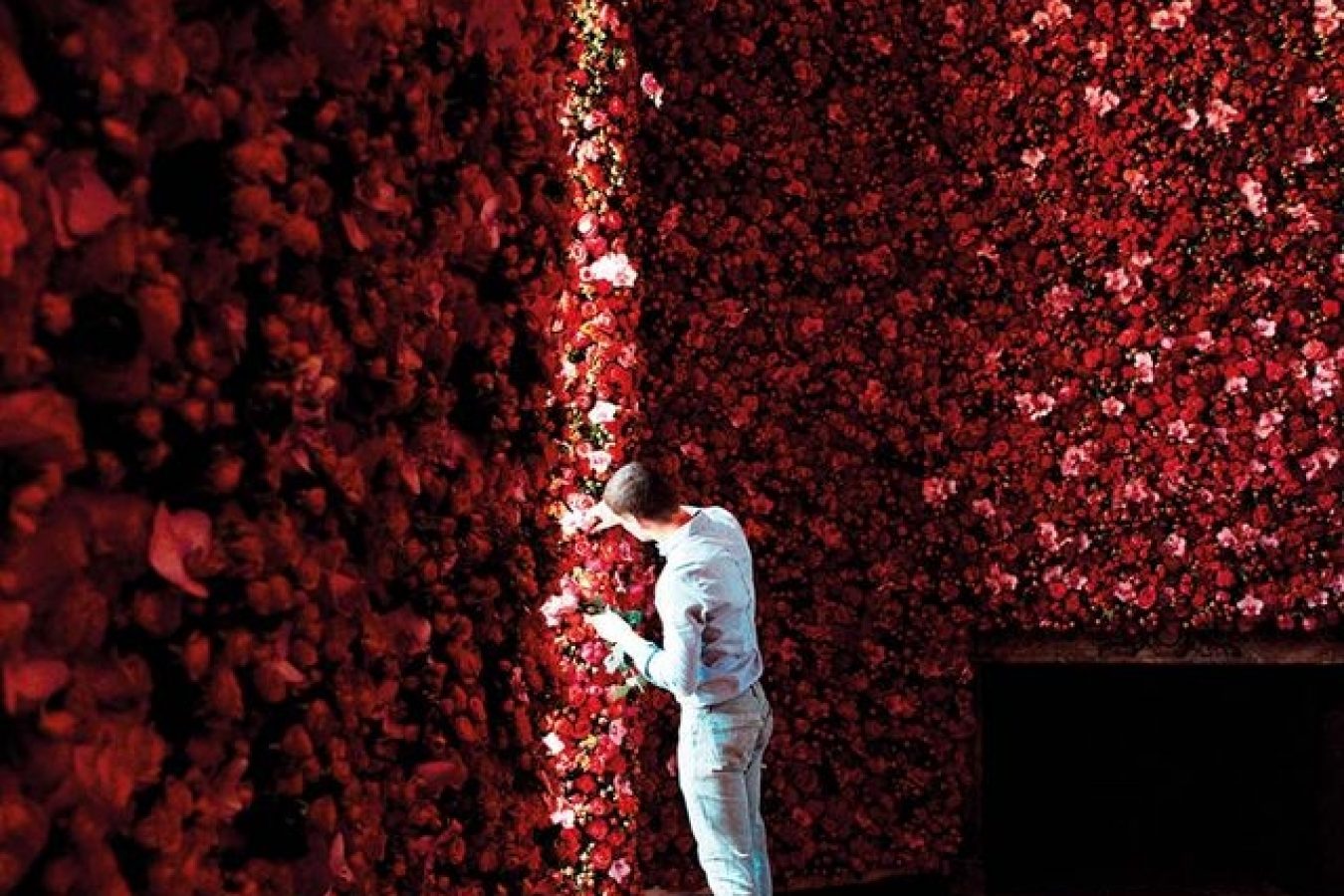 Arte Floral ___________________
